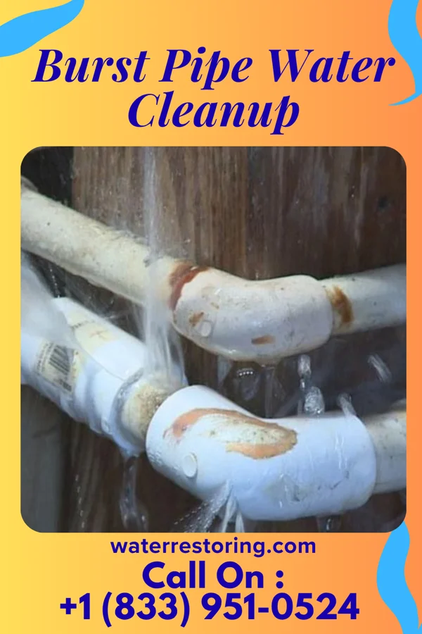 Burst Pipe Water Cleanup in Remsenburg-Speonk, NY