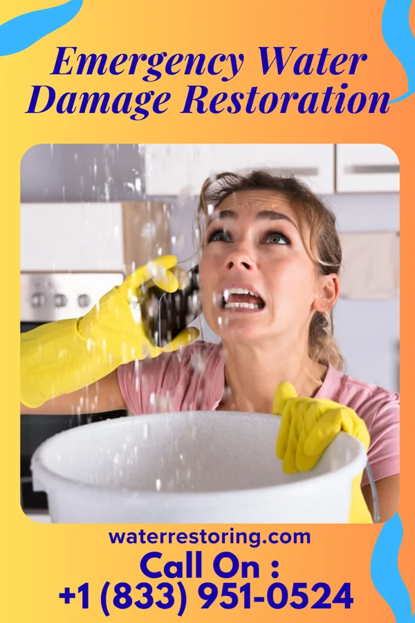 Emergency Water Damage Restoration in Remsenburg-Speonk, NY