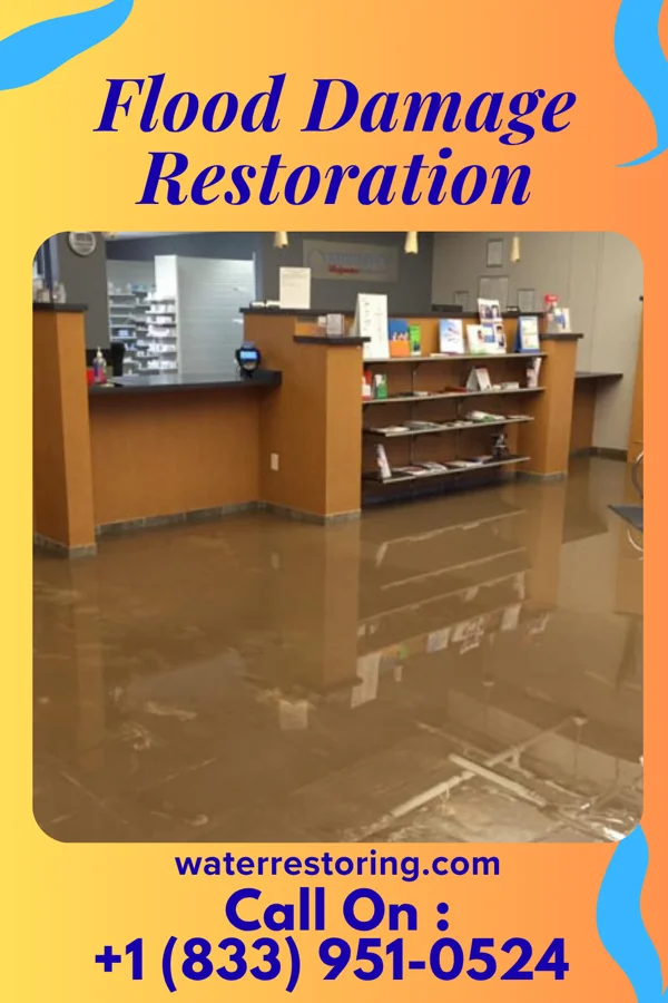 Flood Damage Restoration in Remsenburg-Speonk, NY