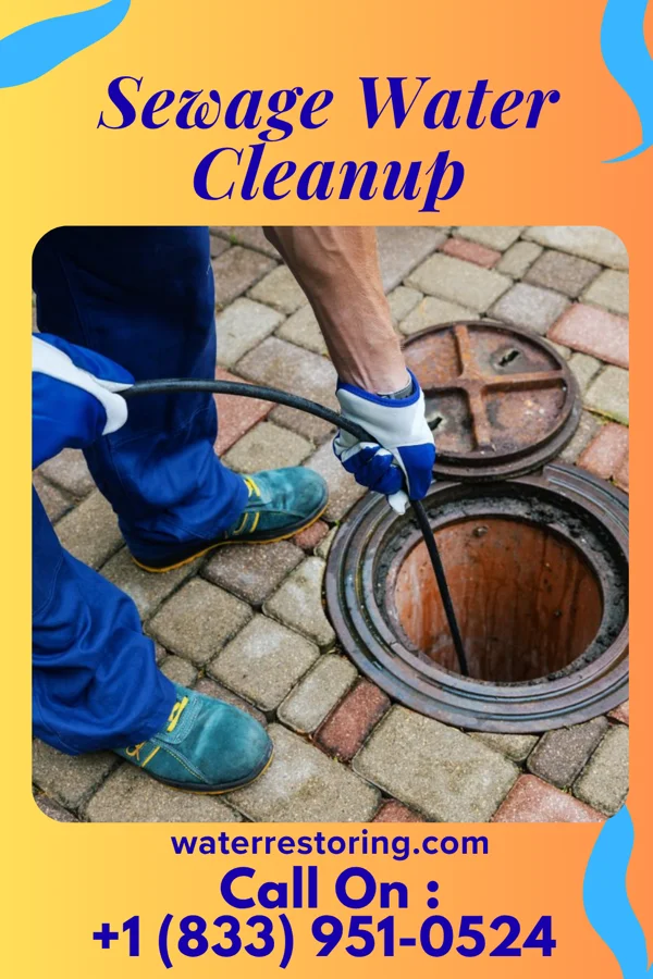 Sewage Water Cleanup in Remsenburg-Speonk, NY