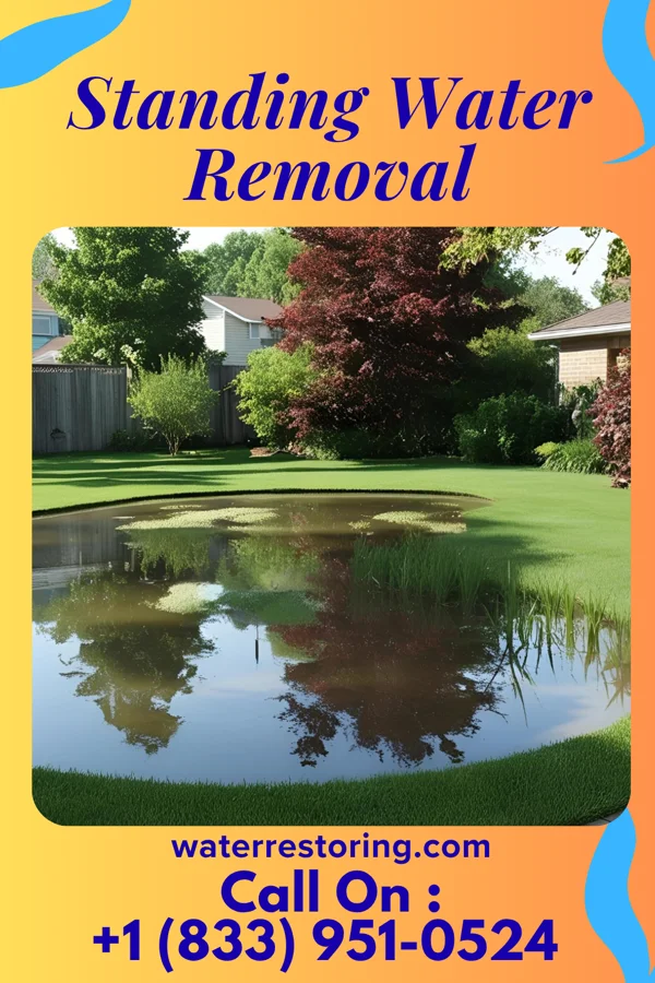 Standing Water Removal in Remsenburg-Speonk, NY